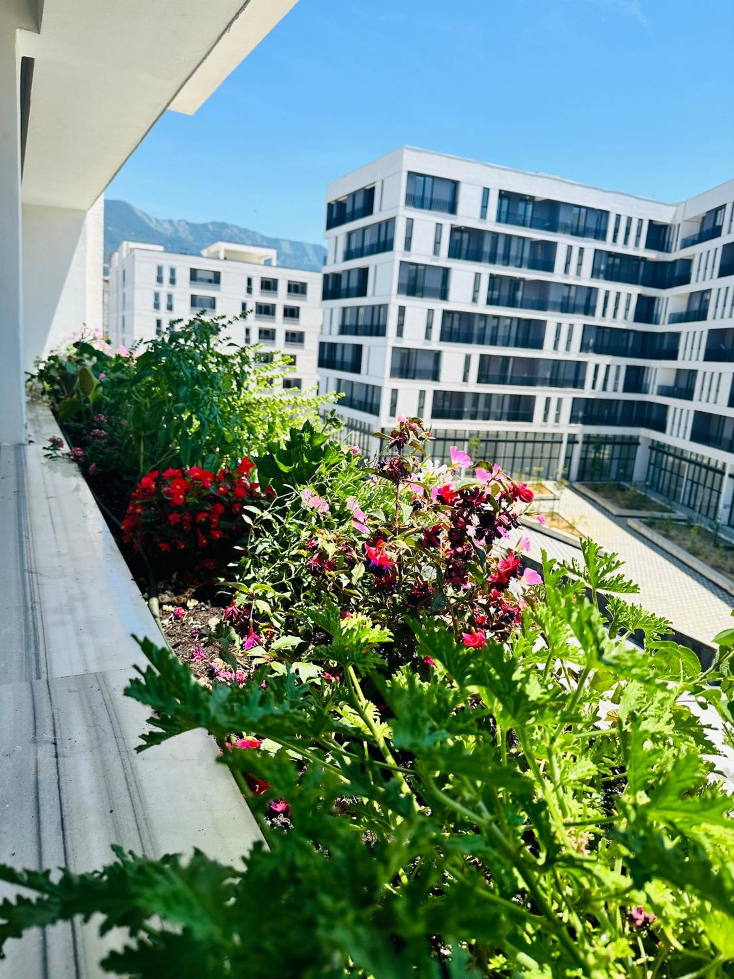 Family Apartment Τίρανα Εξωτερικό φωτογραφία